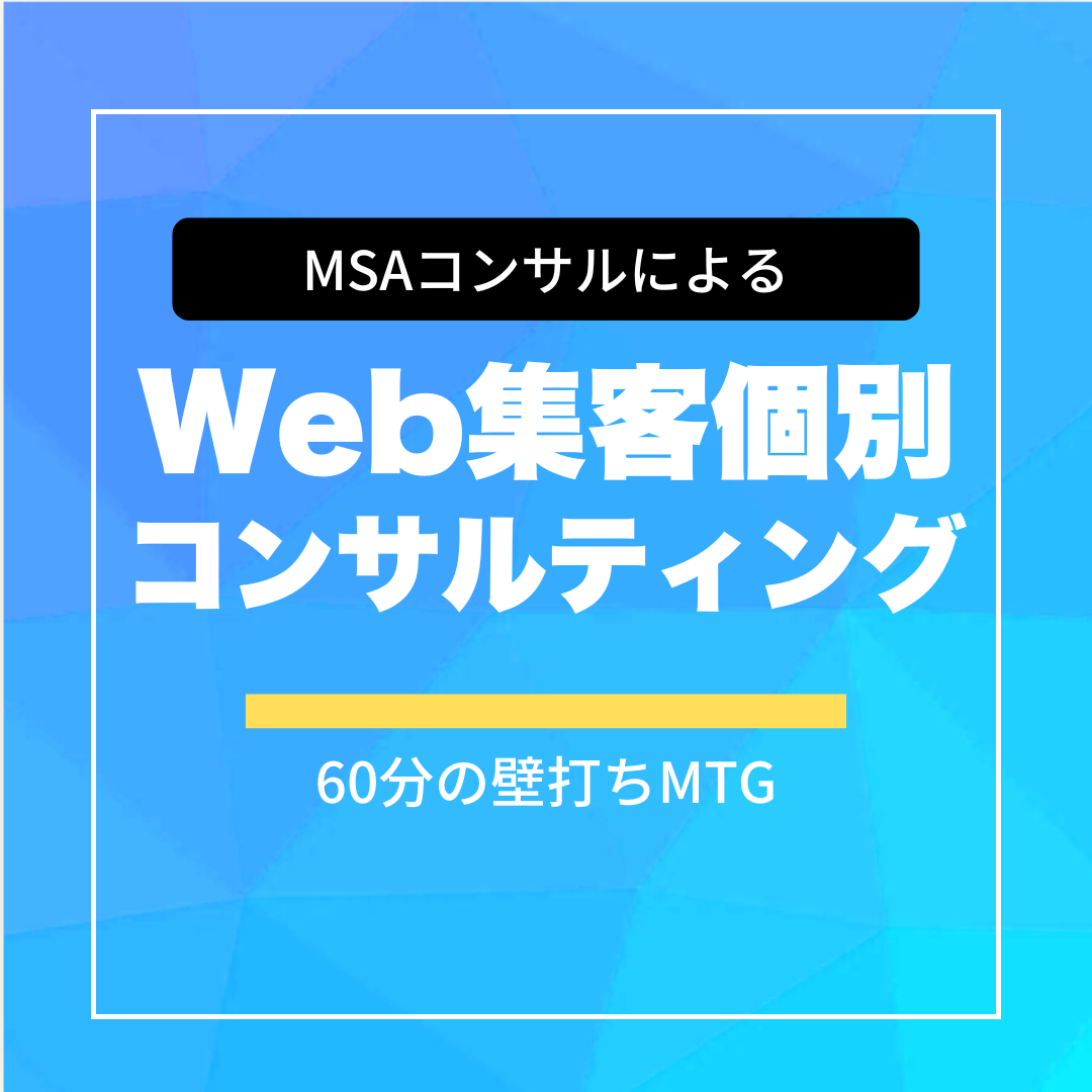 Web集客個別コンサルティング（MSA/60分）
